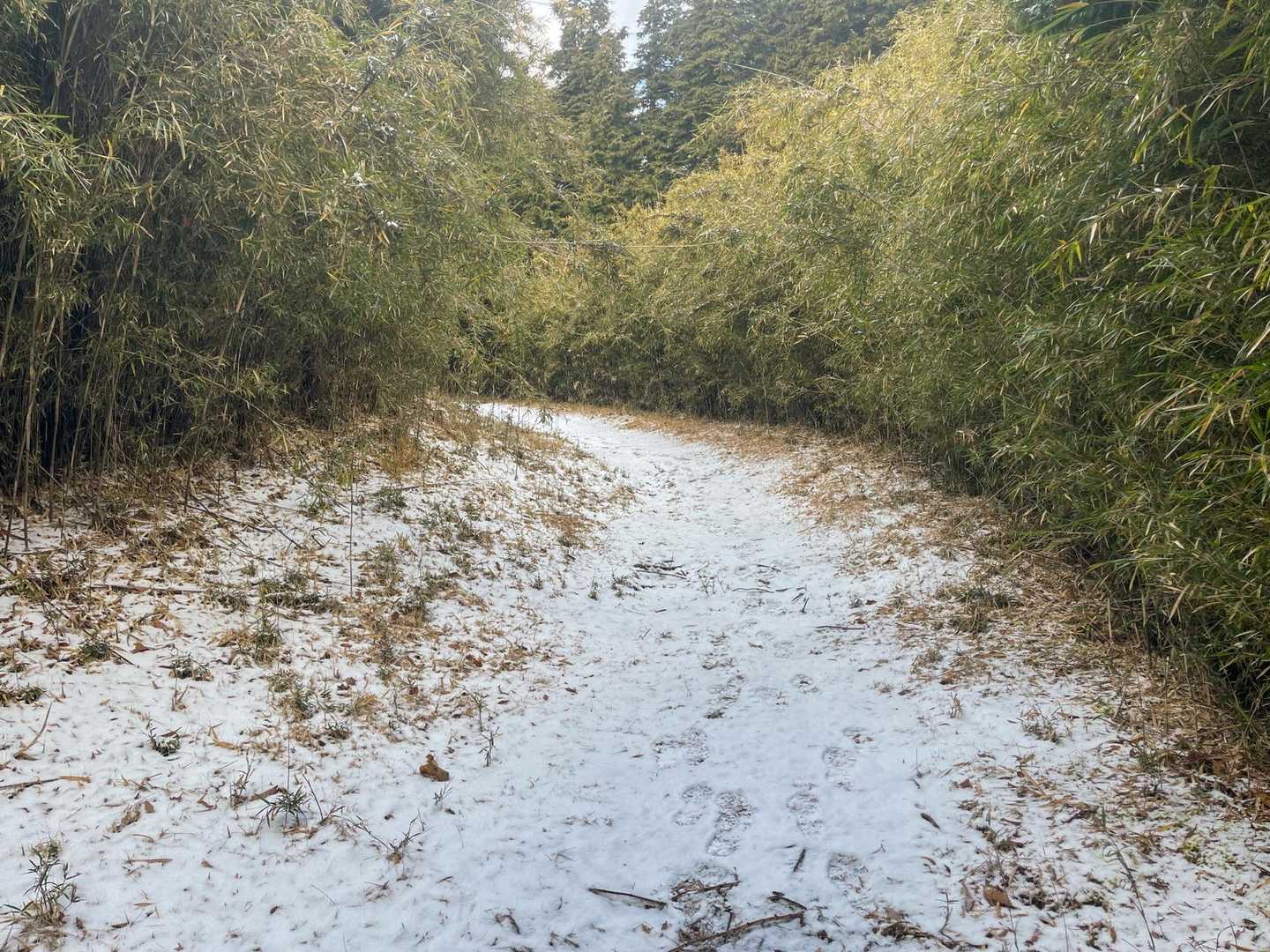 位牌岳（長泉町森林公園）の写真