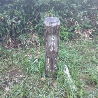 五合目　日向山についた