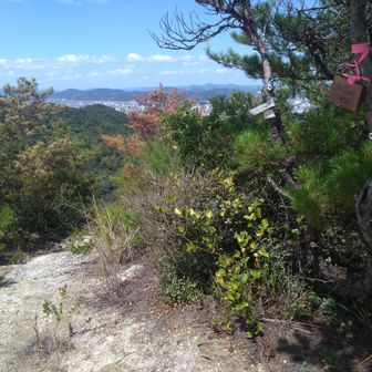 仁寿山に行くのでここを降ります。
また岩です。下りの岩はちょっと怖いです😅