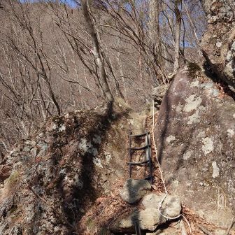 1カ所だけで
短いハシゴとロープがあります