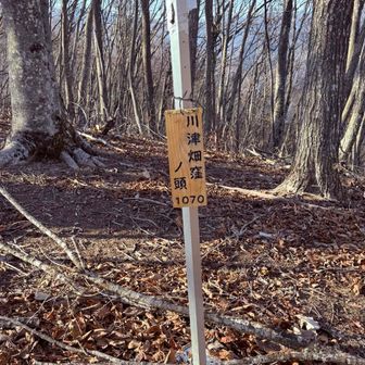 ここあたりは落ち葉🍂だらけです