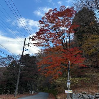 ビジターセンターすぐの🍁

バスに揺られて💤
カーブで傾くたび目が覚め
