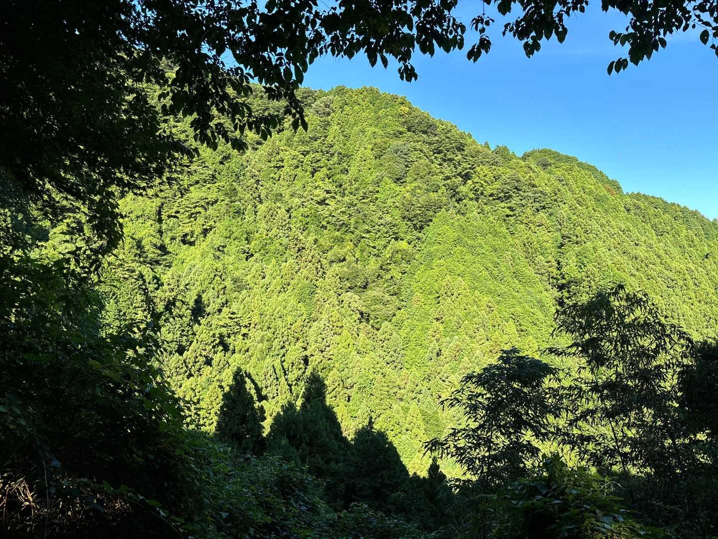 メッチャいい天気☀️で暑い🥵