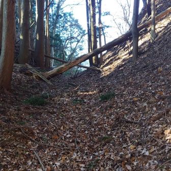 札金峠までの道、迷いやすい