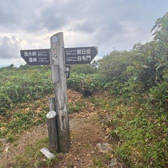 巻機山まで行けるんだ。上越国境稜線ってやつだ。夏場は藪漕ぎで難しいのかな🤔