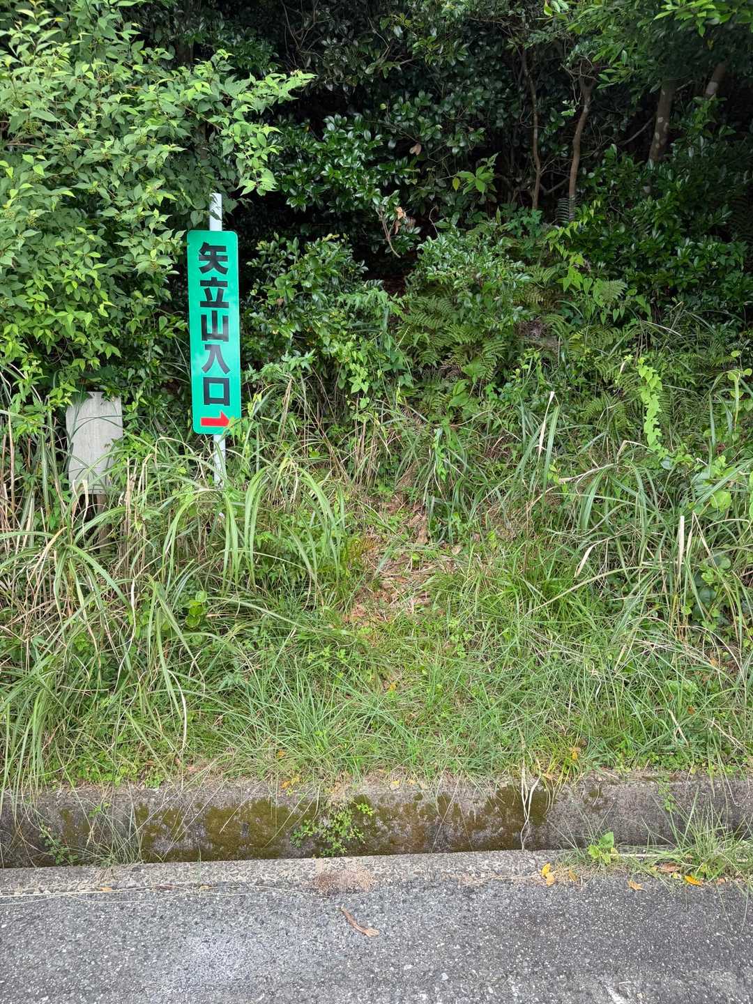 矢立山登山口。ここから入山。