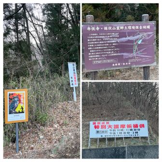 お寺の🅿️に立派な祈祷の看板！この横から取り付きますが斜度がなかなか😅