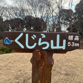 くじら山⛰️登頂🥳
登頂ってほど歩いてないですが、、、💦
