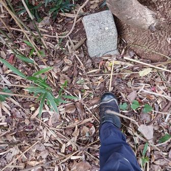 軌跡を頼りに獣道のような踏み跡のような道を行くと三角点！