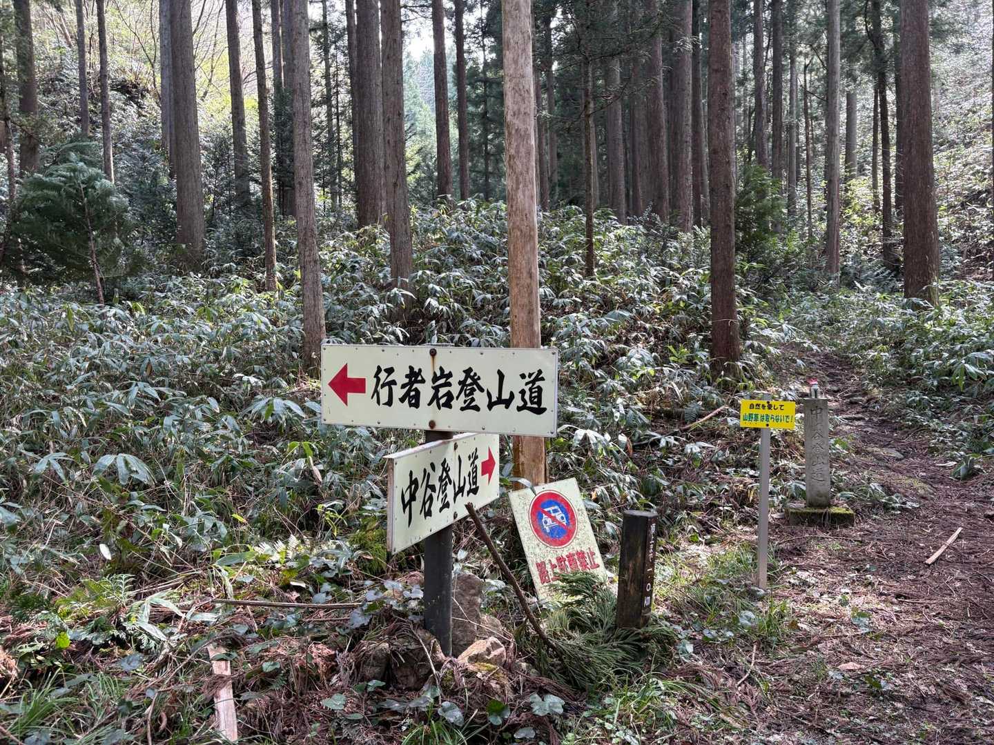 西ノ谷登山口-舟見平-鞍掛山-中ノ谷登山口 周回コースの写真