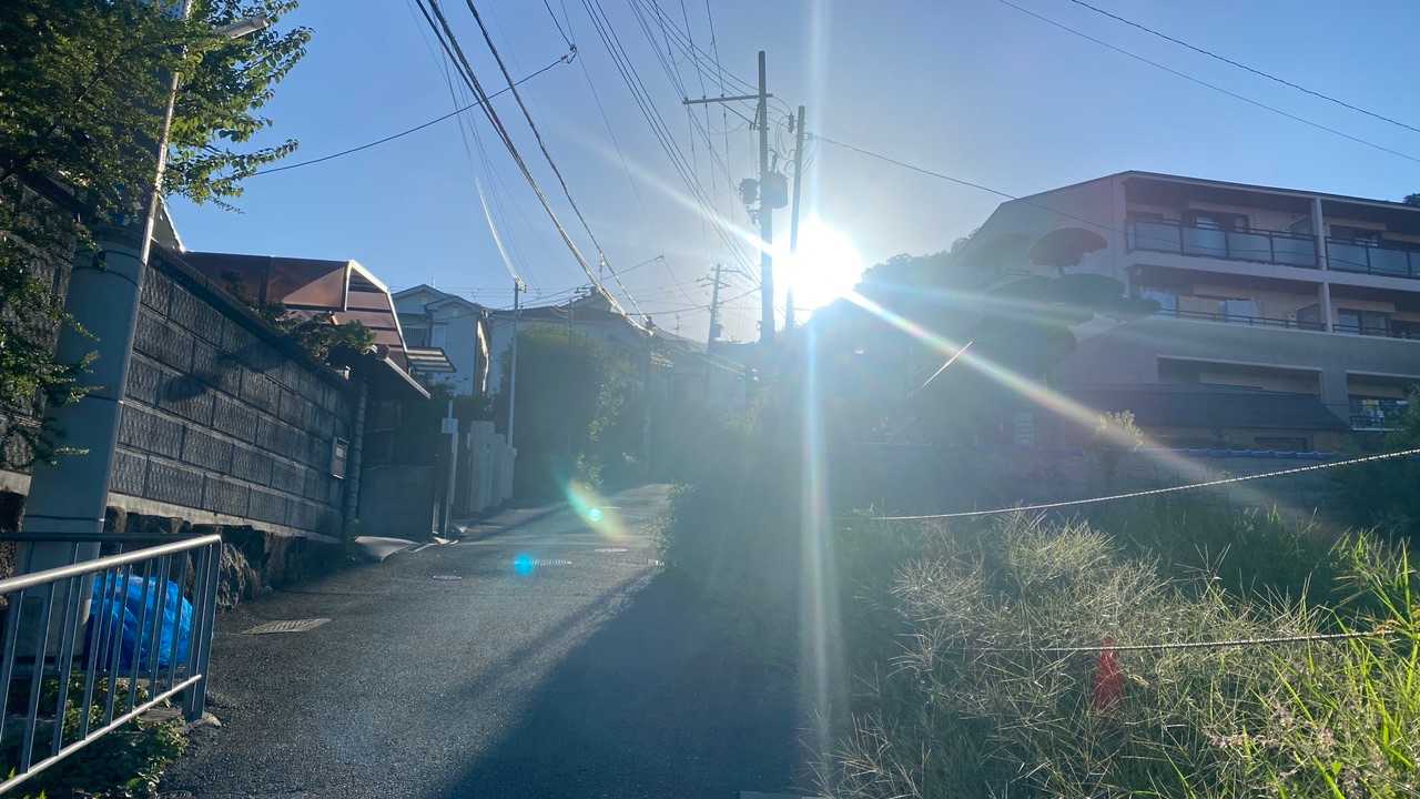 太陽が眩しい☀️