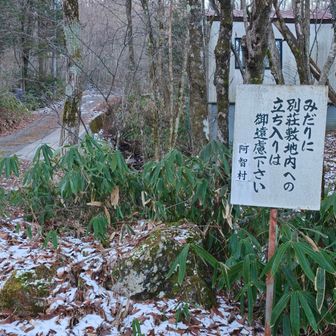 この時期はほぼ人いないが気を付けよう