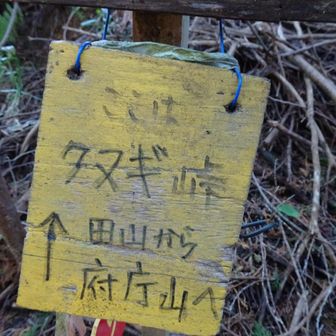 クヌギ峠に到着🙌🏻
3℃