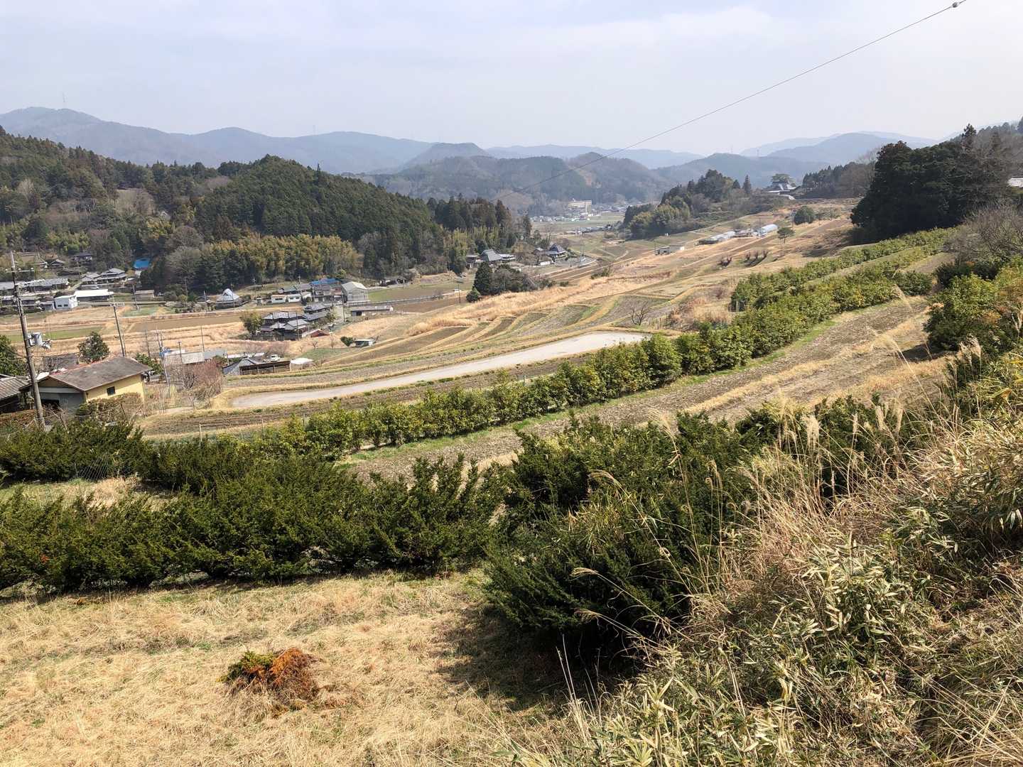 三草山-才ノ神峠 周回コースの写真