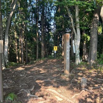 青入山山頂はこんな感じ