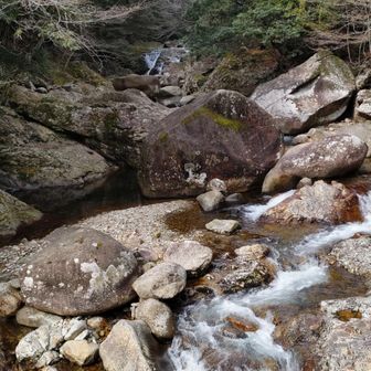 『万年橋』から📸