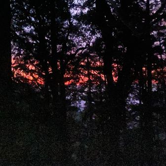 中宮に着くと
真っ赤に焼けてます