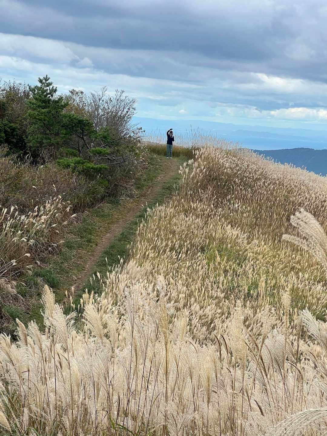 あっちとー