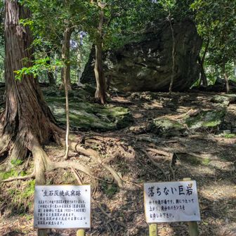 三十三間山・轆轤山 2026/05/23 / マー君の登山データ | YAMAP / ヤマップ