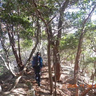 ピンテあり❣️黄色跡
きつい😓箇所もありますが、ほとんど歩きやすい尾根です。

タイマー10s