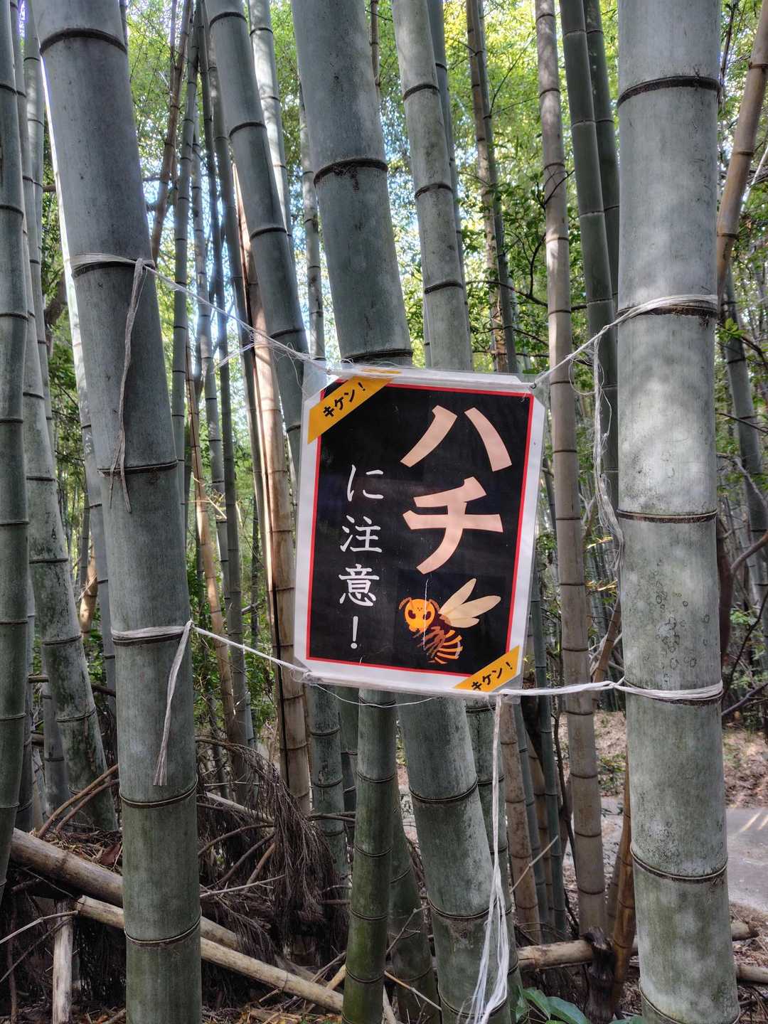 看板新しくなってる様な🤔🤭🤭🙏