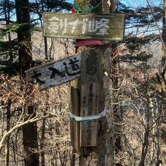 今回はこれました〜