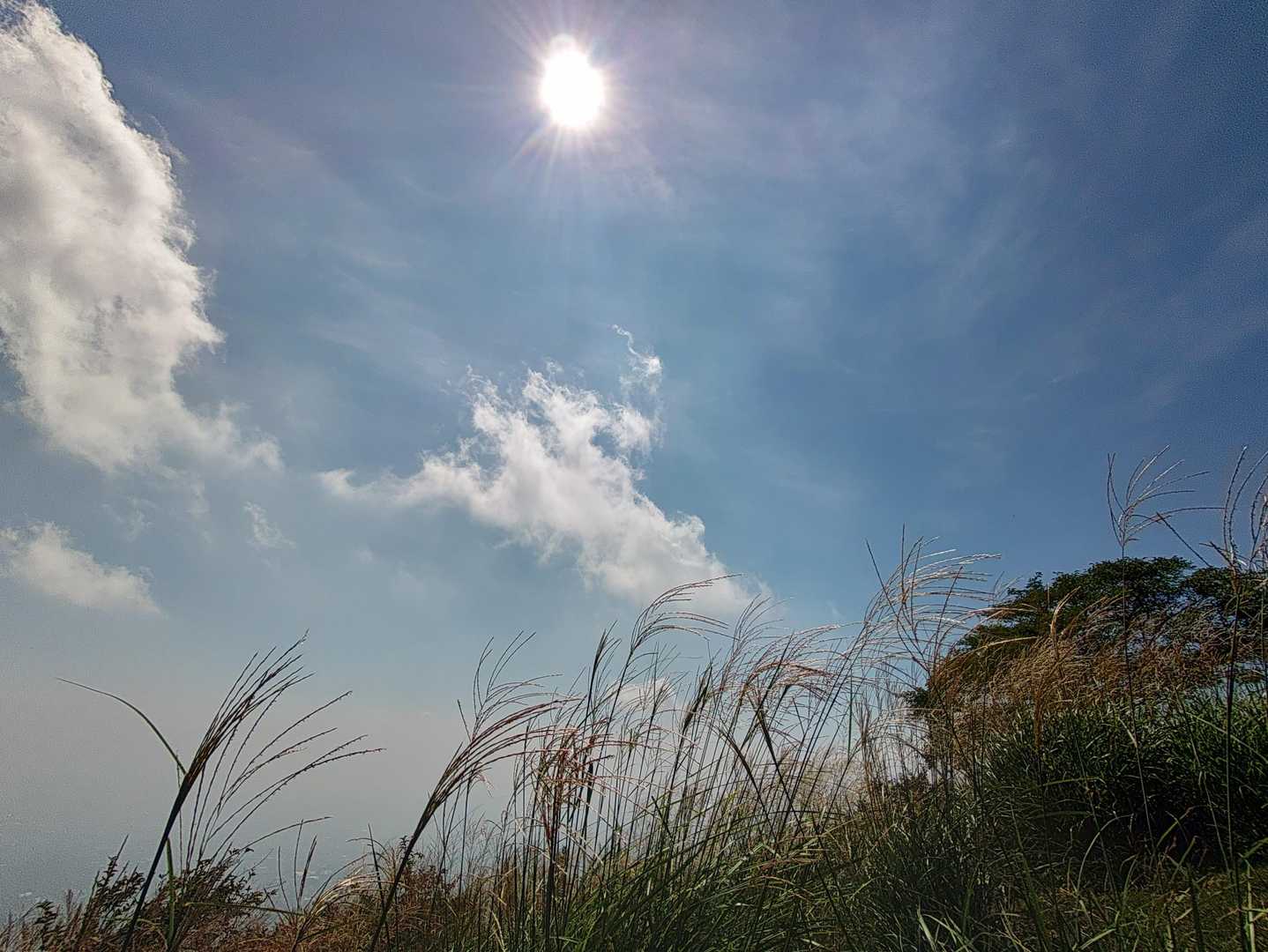 鍋割山登山口-鍋割山 往復コースの写真