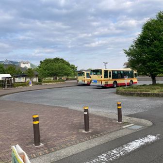 無事下山🙌

今日はコース上に水たまりもちょいちょいあったので、バス停の靴洗い場で靴もきれいにした🥾