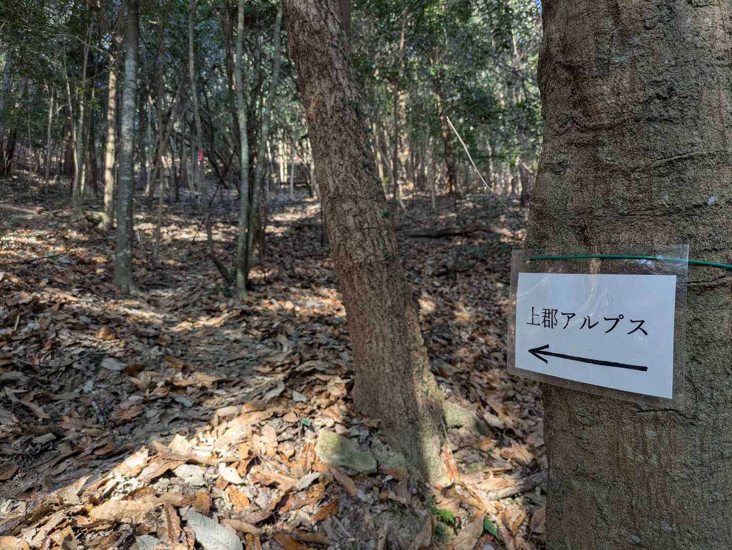 生駒山登山口-馬の蹄跡-生駒山-大鳥山-鳳張峠-鳳凰山-岩 周回コースの写真