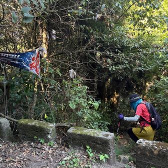 まさかの、この手ぬぐいが登山道への降りぐち？とは、、、💦この手前の道を、一回通り過ぎ戻りました