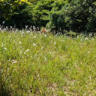 山頂からの下界の景色堪能し下山しますGO🚶🚶🫱