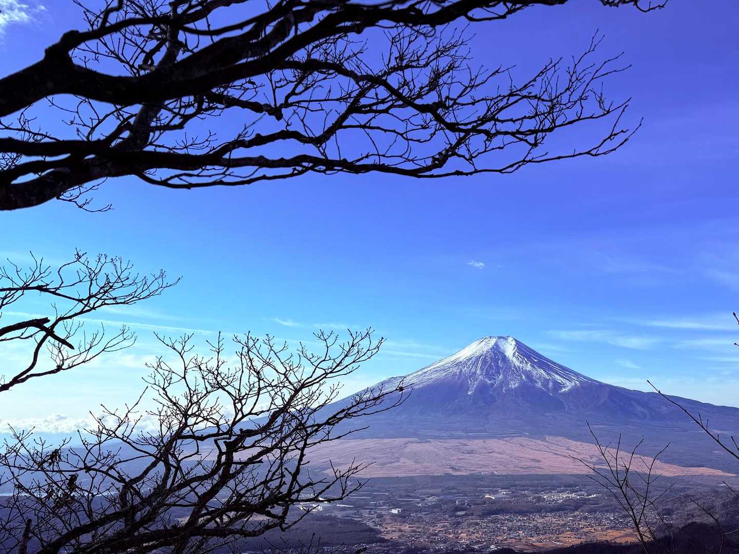 要所要所で拝めます
「山頂」も良いですが…
むしろ…笑