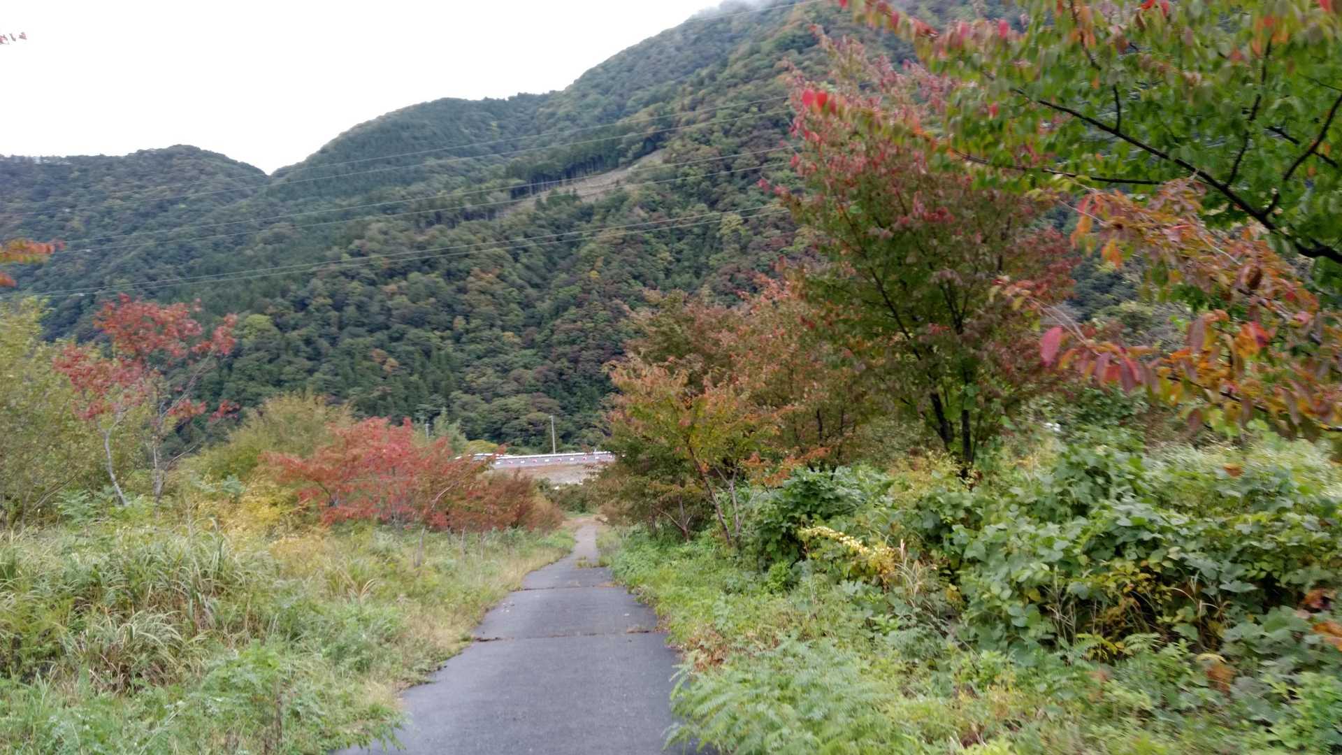 荒島岳勝原登山口-深谷ノ頭-シャクナゲ平-荒島岳-小荒島岳 往復コースの写真