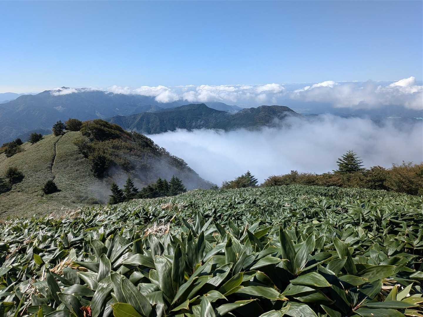 展望ポイントから蒼滝山