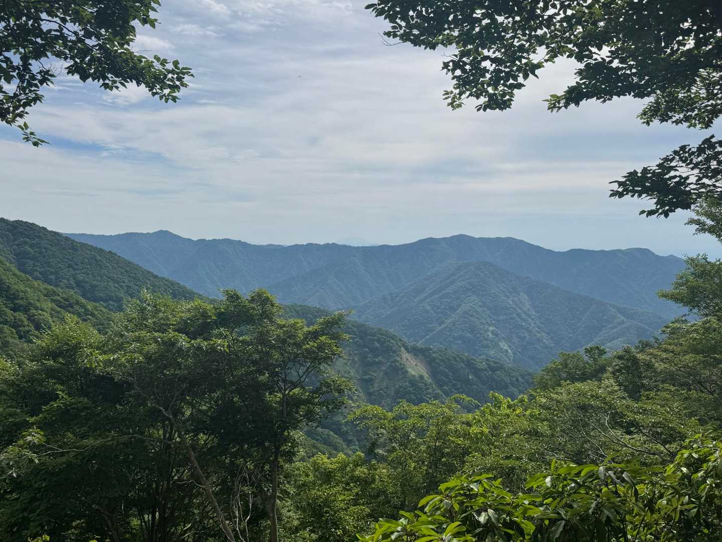 小津権現山登山口-高屋山-小津権現山 往復コースの写真