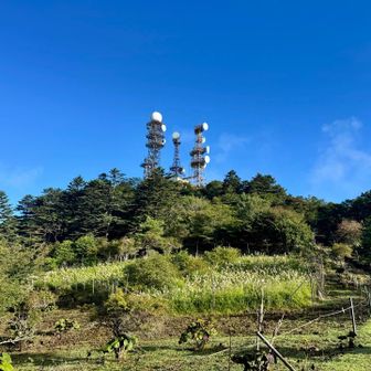 鉄塔が並ぶ御巣鷹山。
こんなに青空💙