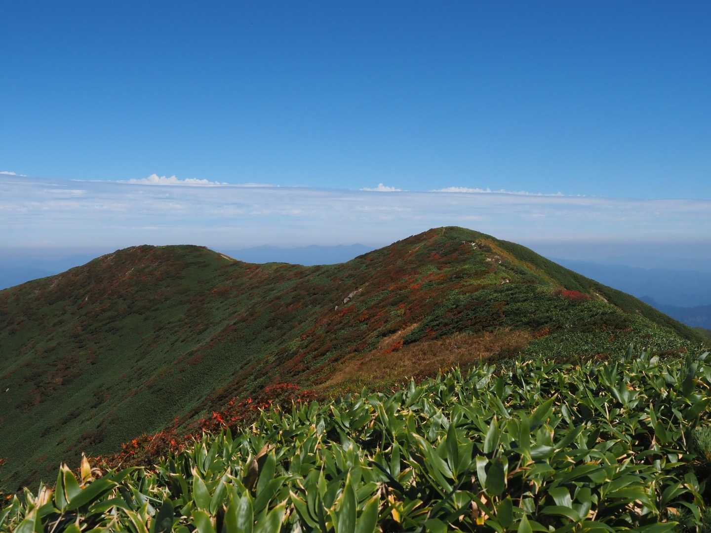 天狗平コース登山口-桧山沢吊橋-休場ノ峰-千本峰-宝珠山- 周回コースの写真