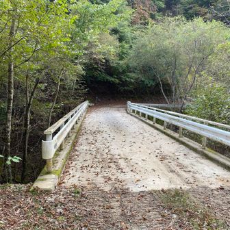 林道開始、ここから長い