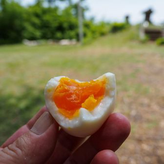 帽子忘れても玉子忘れず