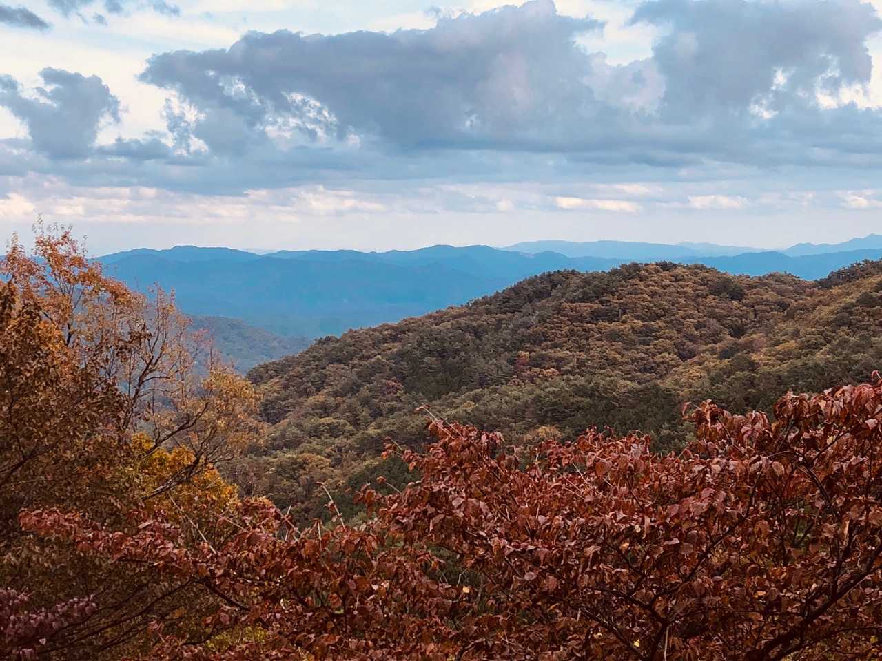 紅葉④ 
帰りは砂利道を避け、舗装路面で下りました😅