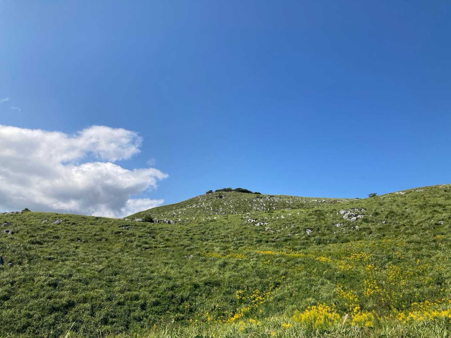 吹上峠-大平山 周回コースの写真