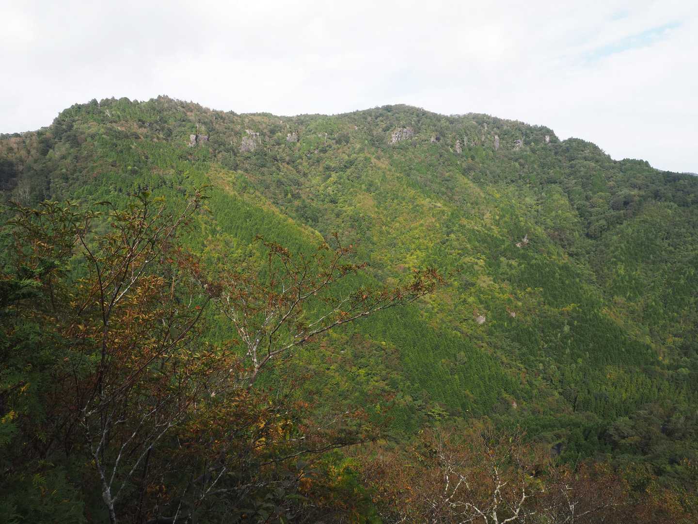 西門山
鉄塔巡視路コースの途中より