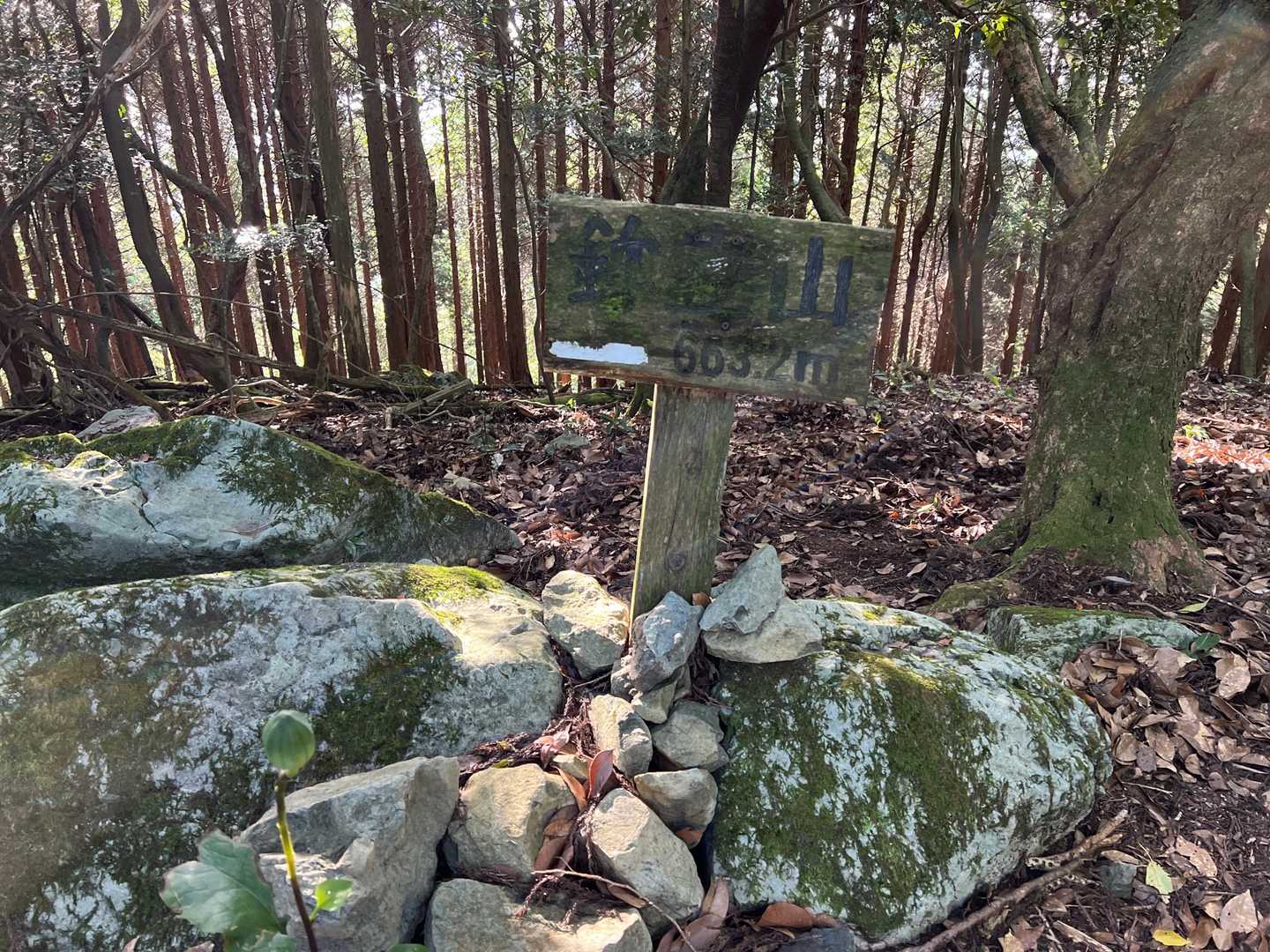 鉾立山。相変わらず犬鳴山系からの流れの山は眺望なしw