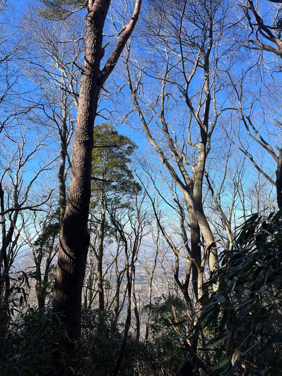 スッキリ青空