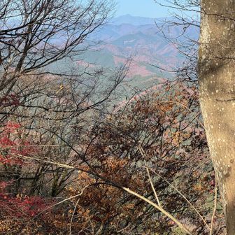 あれはすかいさんだな