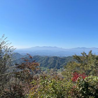 紅葉はまだまだ先ですね！