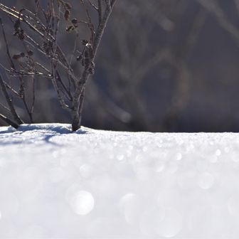 鳥海山・七高山・笙ヶ岳 キラキラ✨