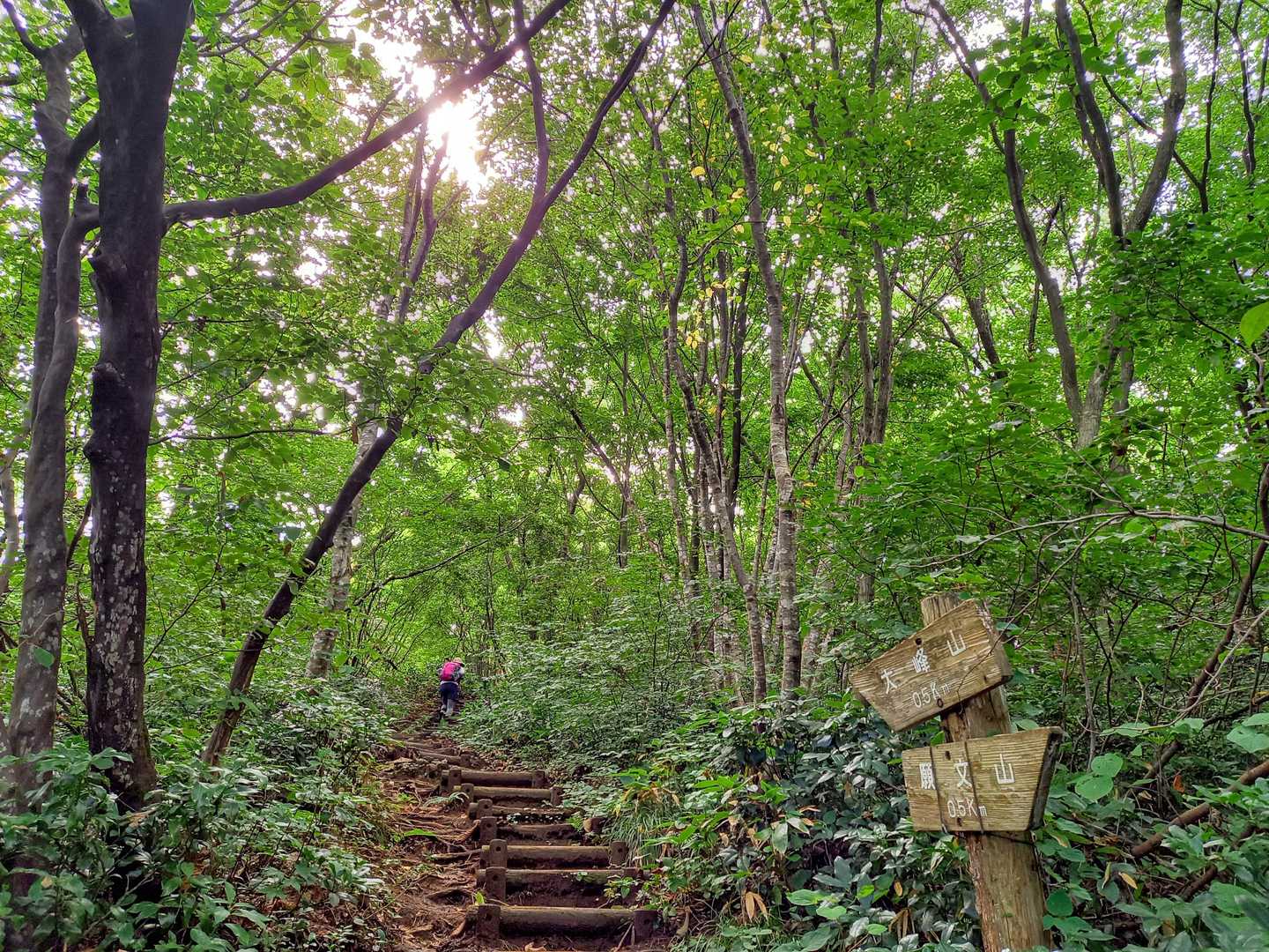 大峰山へ→
ところどころ階段(少なめ)
ところどころ急登(キツめ)💦
