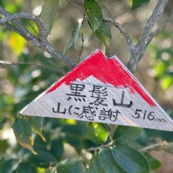 可愛い小さな標識