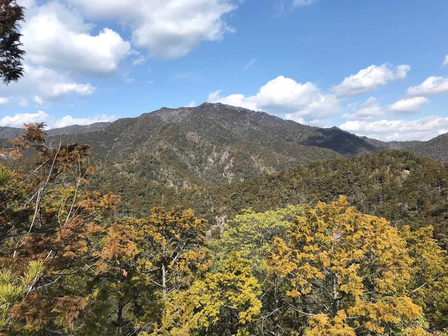 宇連山 往復コースの写真